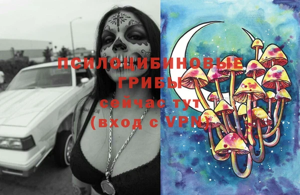 шишки Балахна