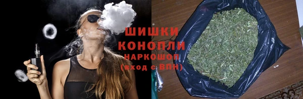 шишки Балахна