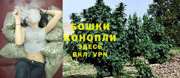 ГАЛЛЮЦИНОГЕННЫЕ ГРИБЫ Армянск