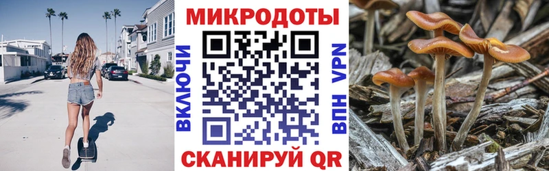 Купить закладки  Бикин  Галлюциногенные грибы Psilocybine cubensis 